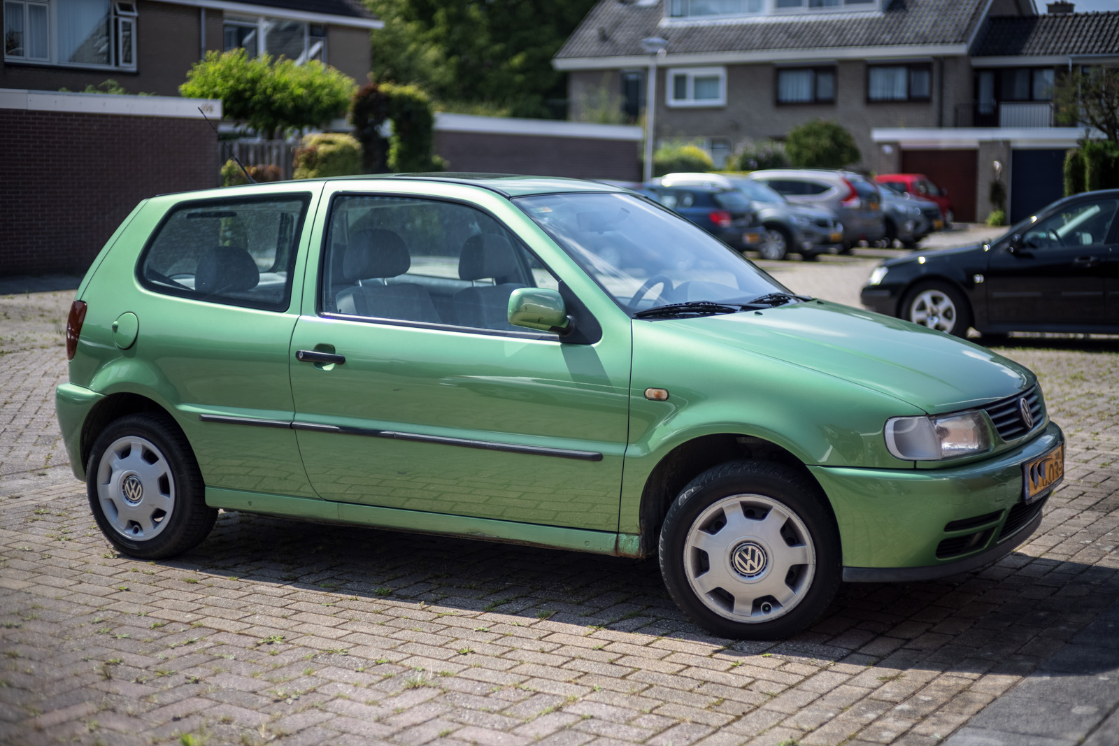 Polo1.jpg